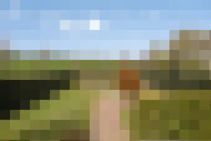Heide 35 Swalmen thumbnail 33