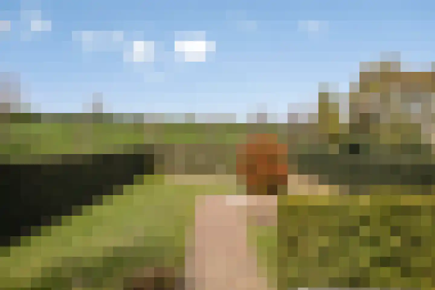 Heide 35 Swalmen thumbnail 33