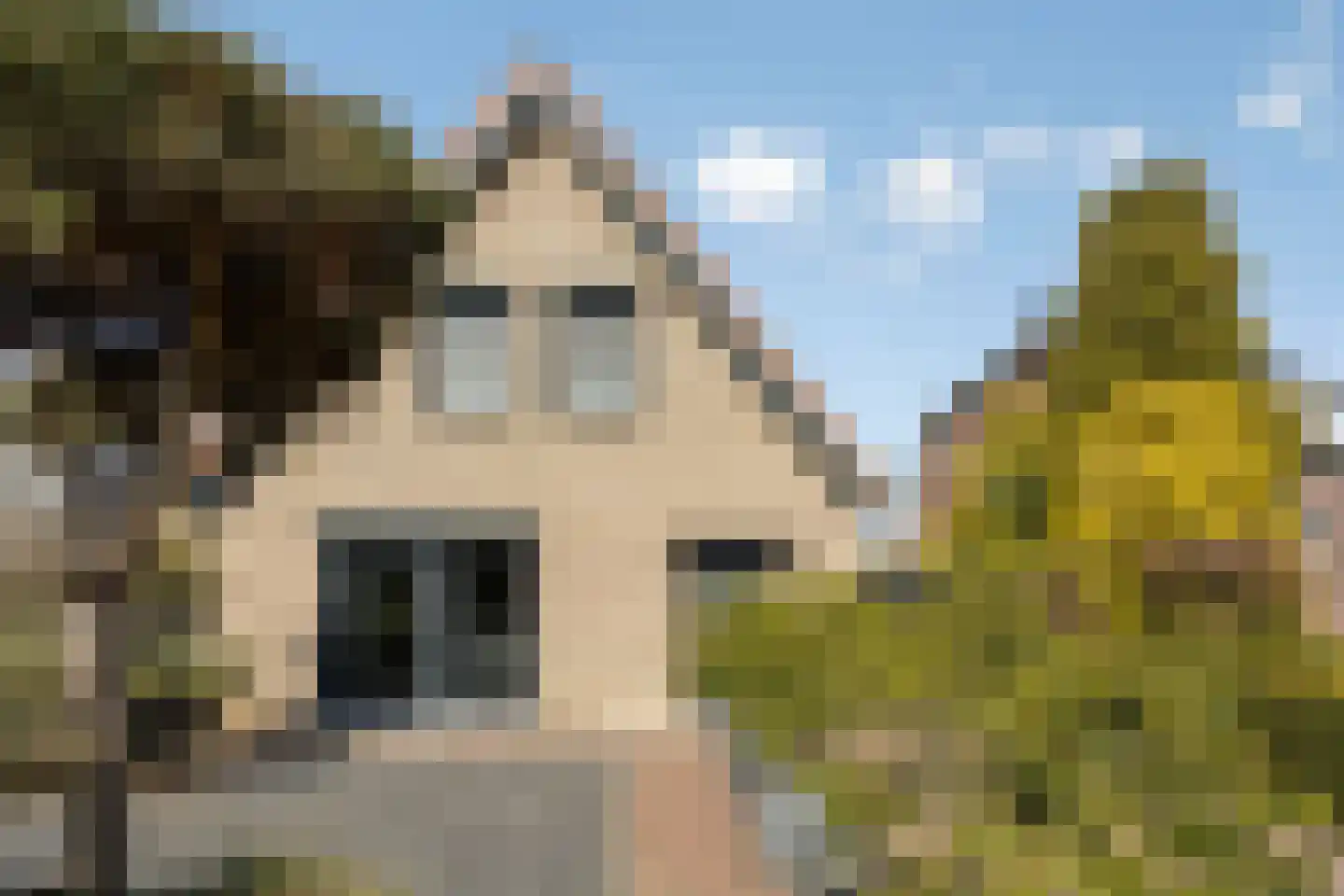 Heide 35 Swalmen thumbnail 36