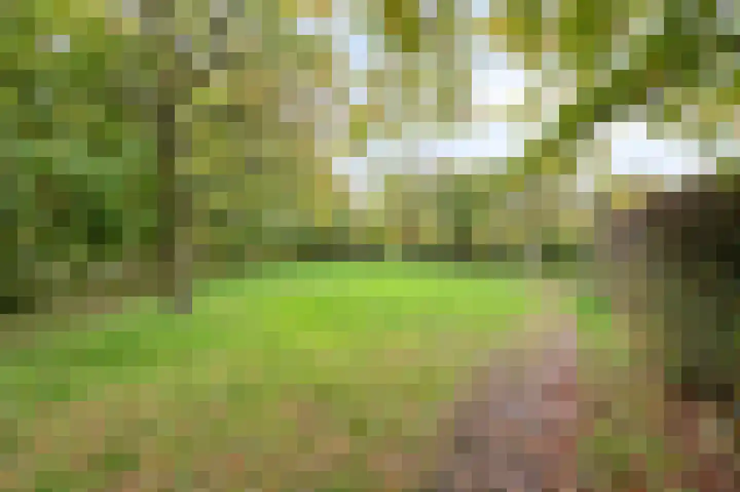 Heide 4 Roermond thumbnail 20