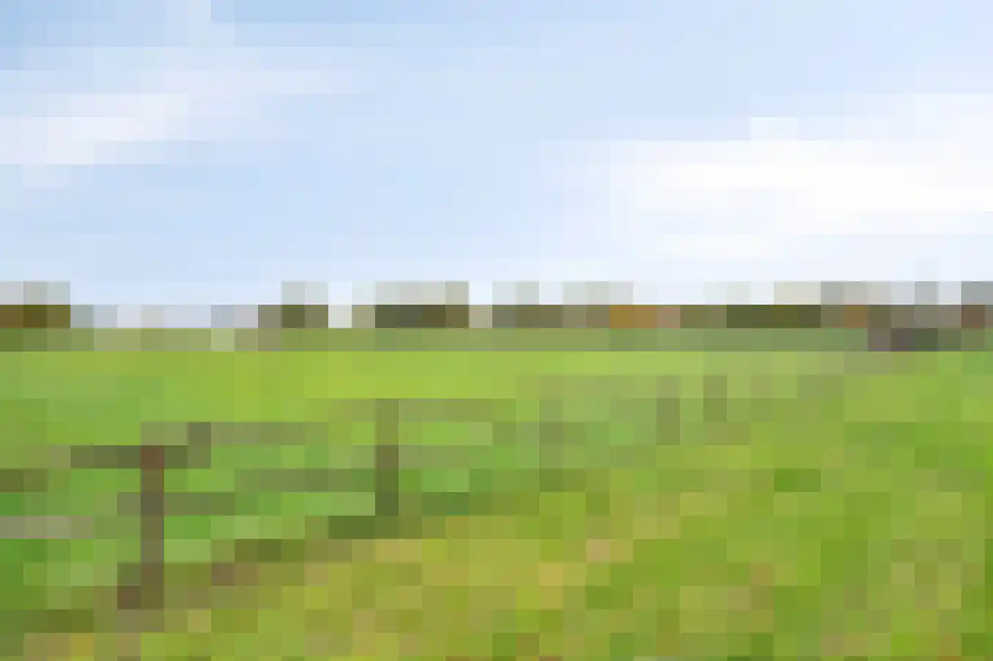 Heide 4 Roermond thumbnail 21