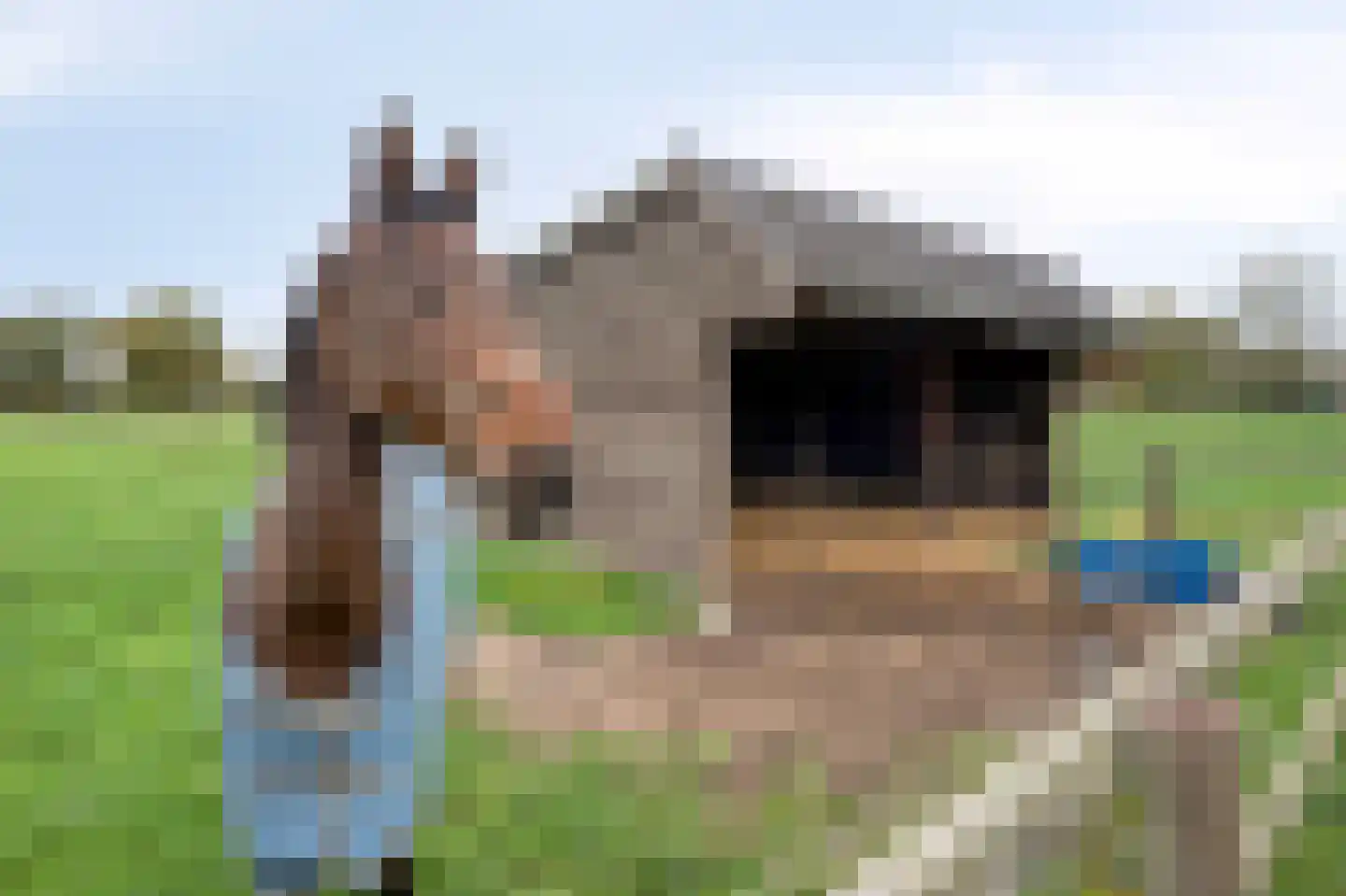 Heide 4 Roermond thumbnail 22