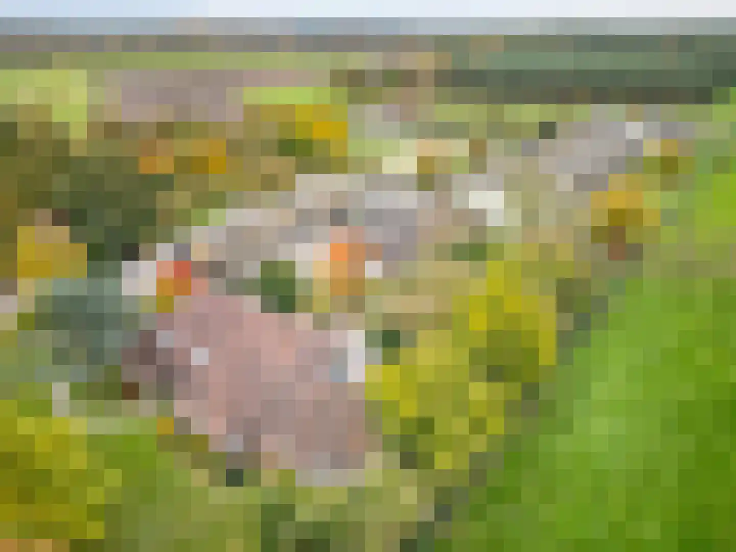 Heide 4 Roermond thumbnail 24
