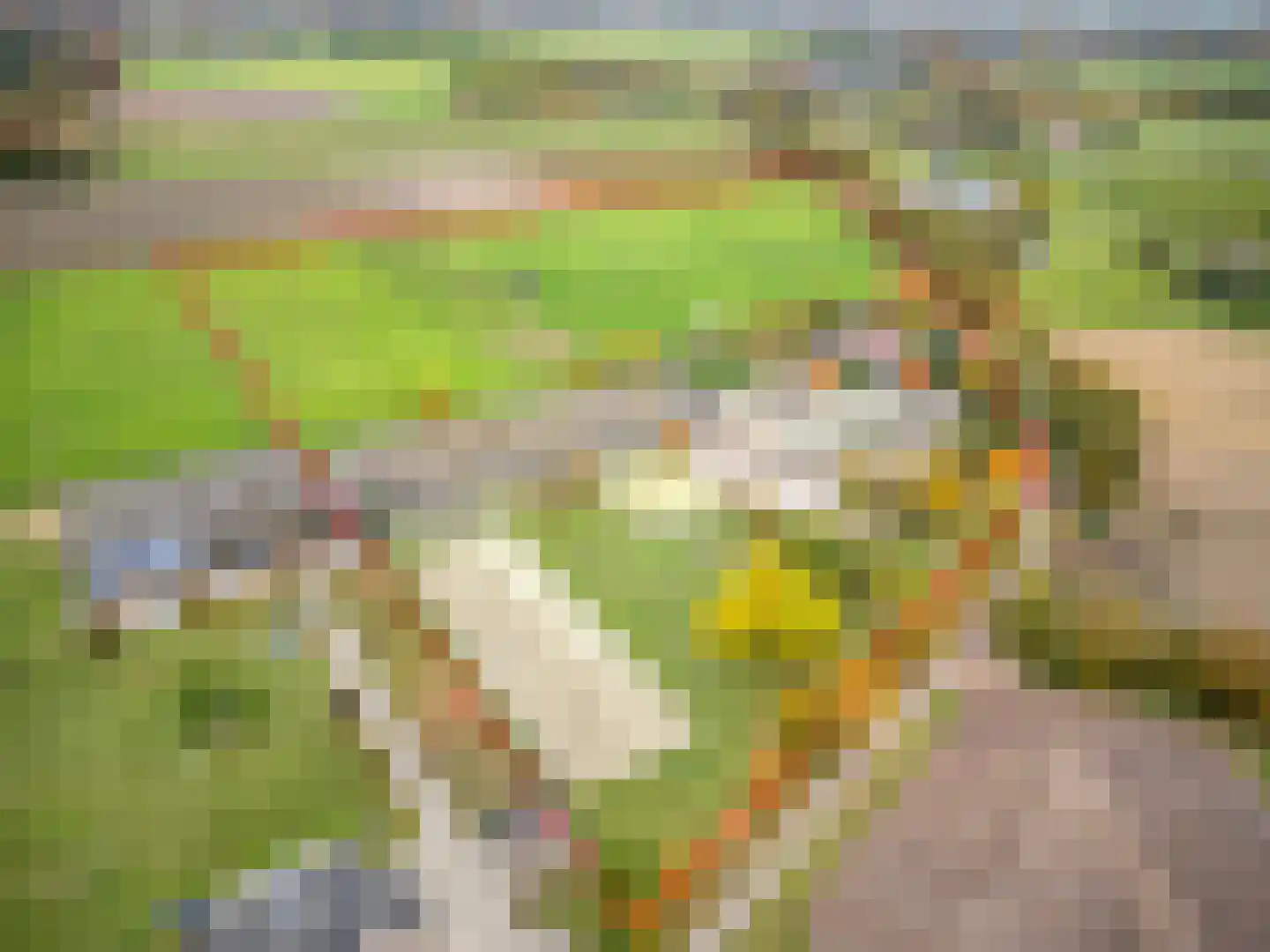 Heide 4 Roermond thumbnail 25
