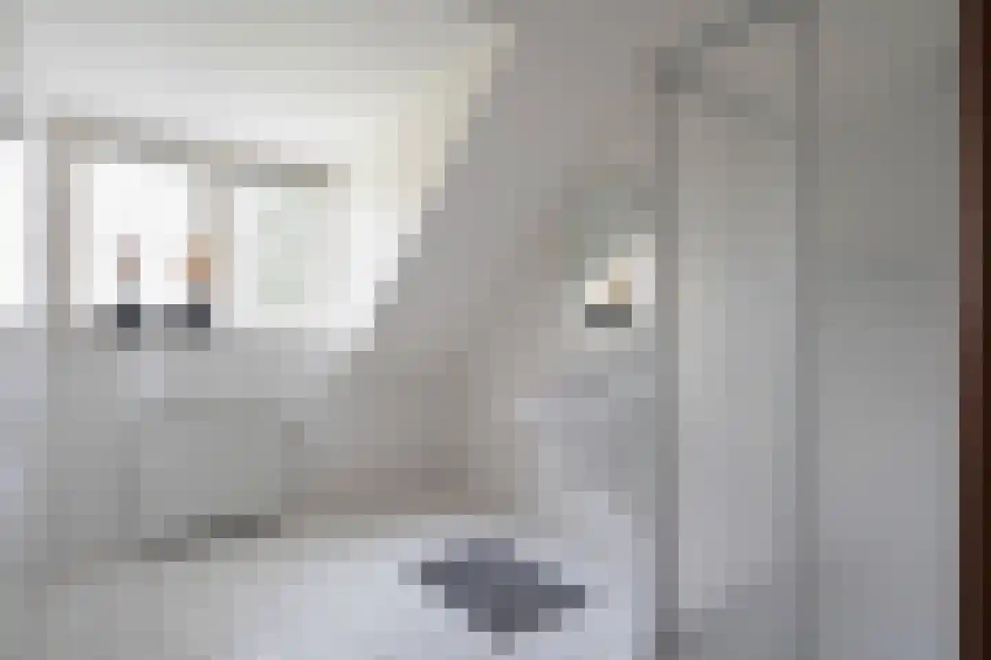 Heide 4 Roermond thumbnail 37