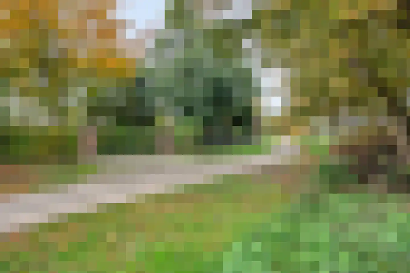 Heide 4 Roermond thumbnail 5