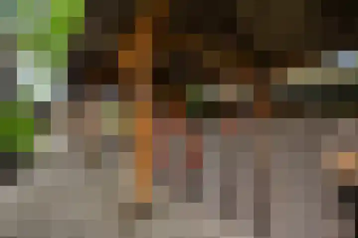 Heide 40 Roermond thumbnail 40