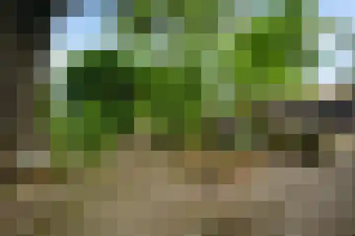 Heide 40 Roermond thumbnail 42