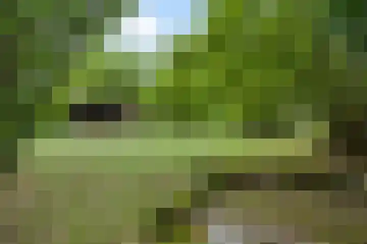 Heide 40 Roermond thumbnail 43