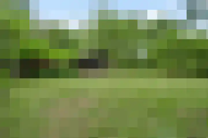 Heide 40 Roermond thumbnail 44