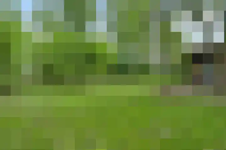 Heide 40 Roermond thumbnail 45