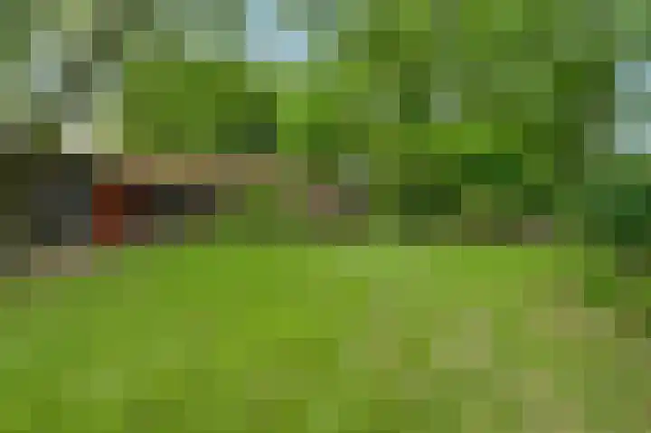 Heide 40 Roermond thumbnail 46