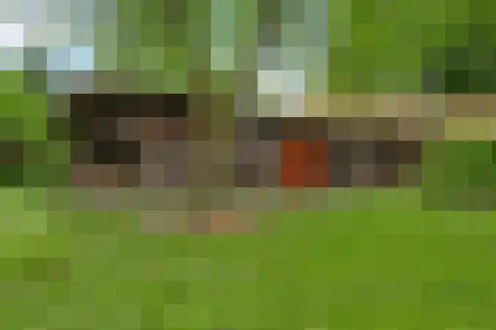Heide 40 Roermond thumbnail 47