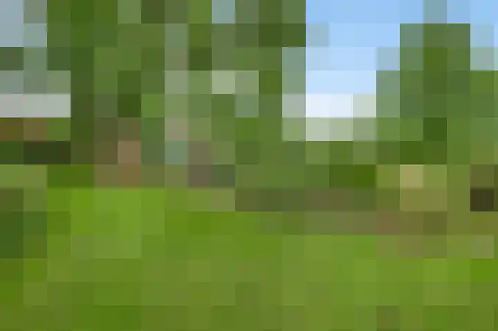 Heide 40 Roermond thumbnail 48