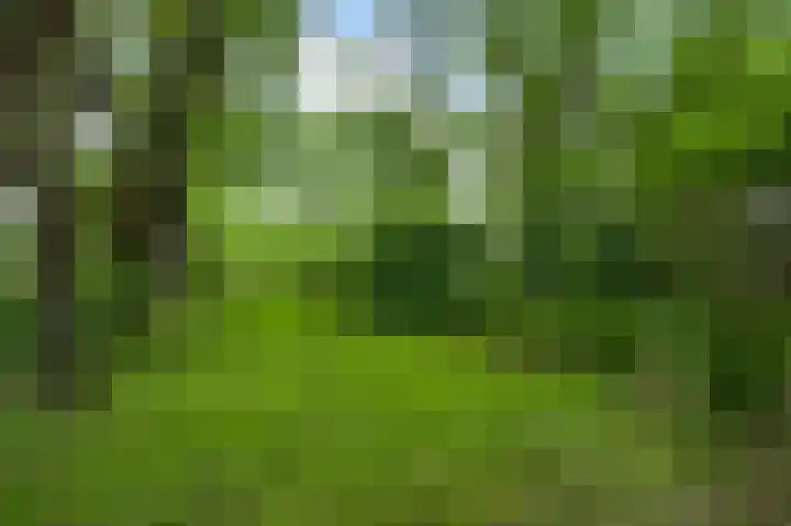 Heide 40 Roermond thumbnail 49