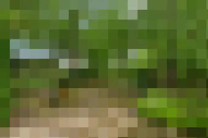 Heide 40 Roermond thumbnail 50