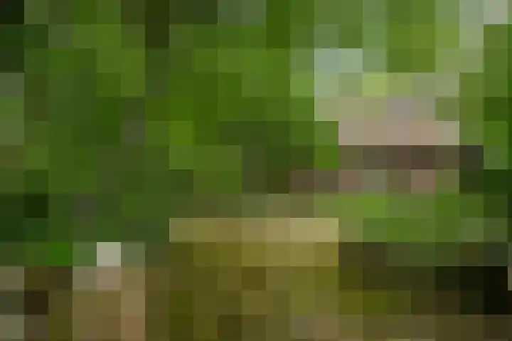 Heide 40 Roermond thumbnail 51