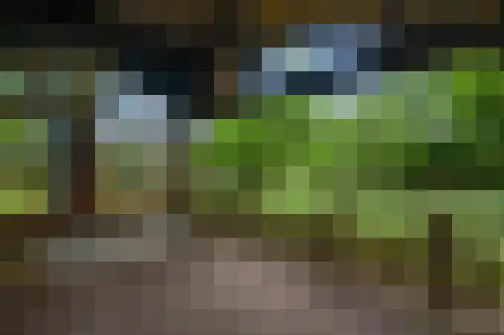 Heide 40 Roermond thumbnail 87
