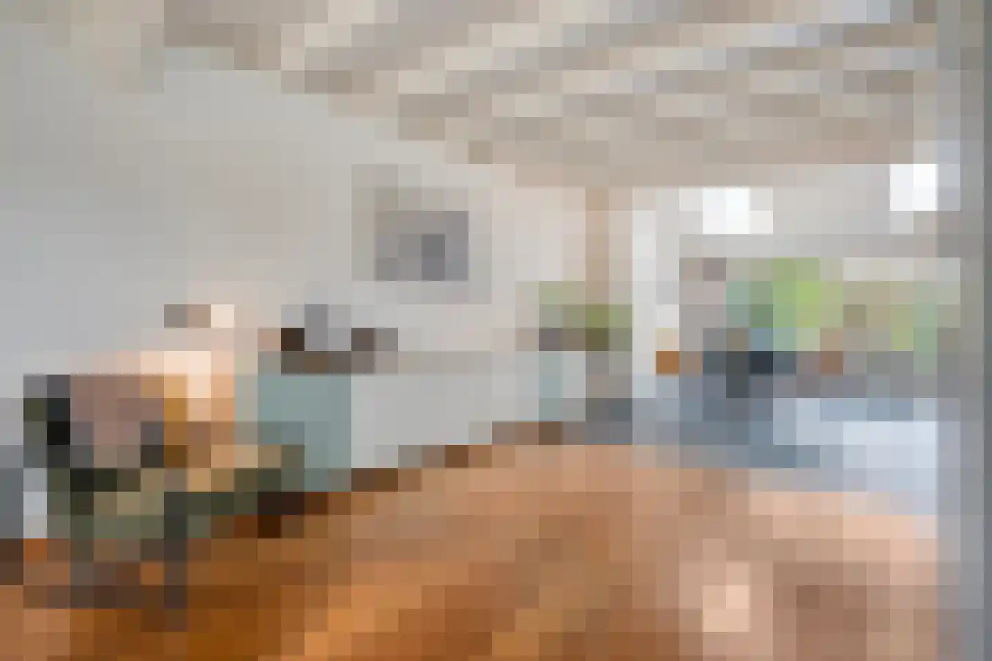 Heideanjer 47 Dalfsen thumbnail 10