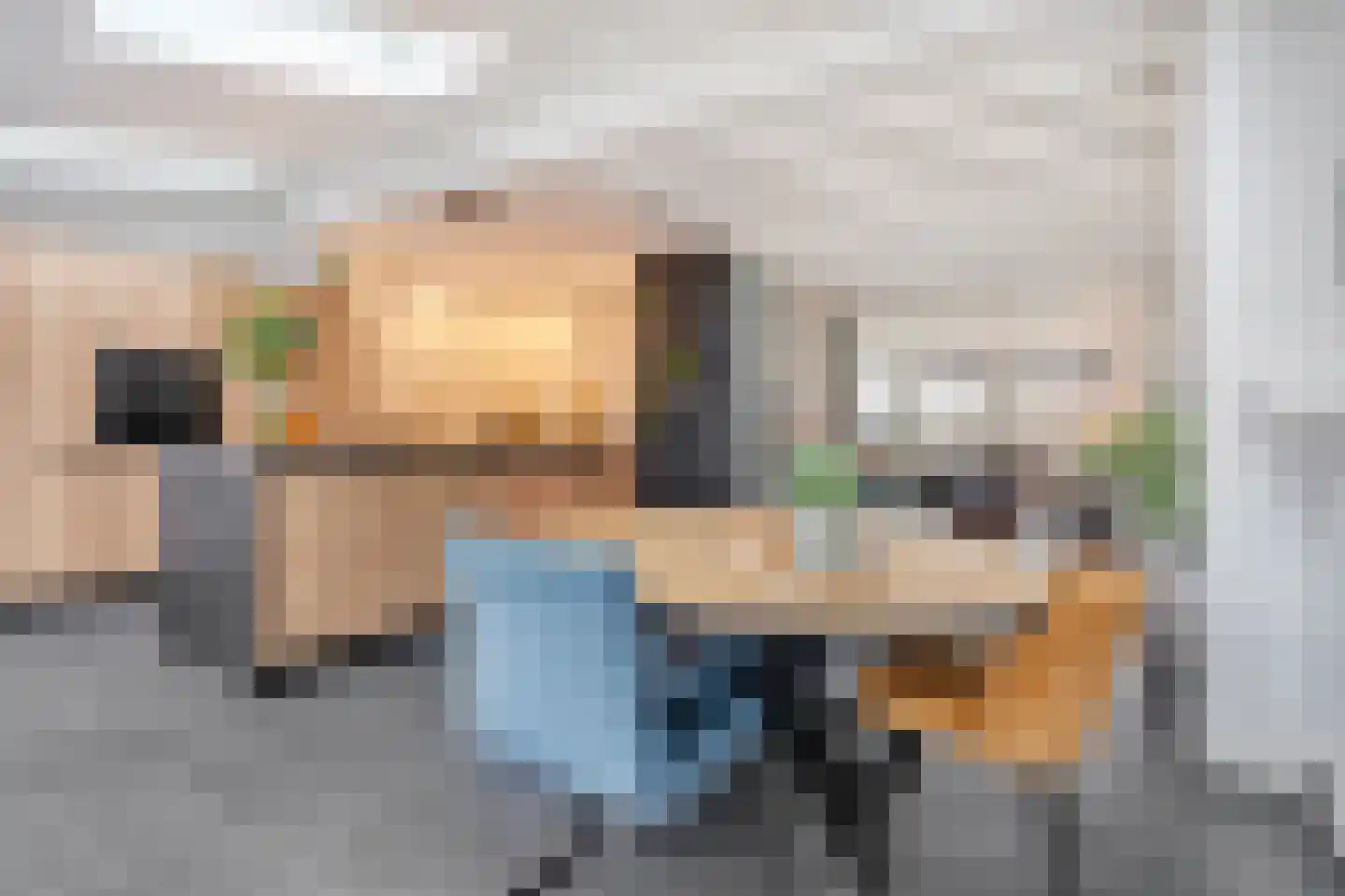 Heideanjer 47 Dalfsen thumbnail 14