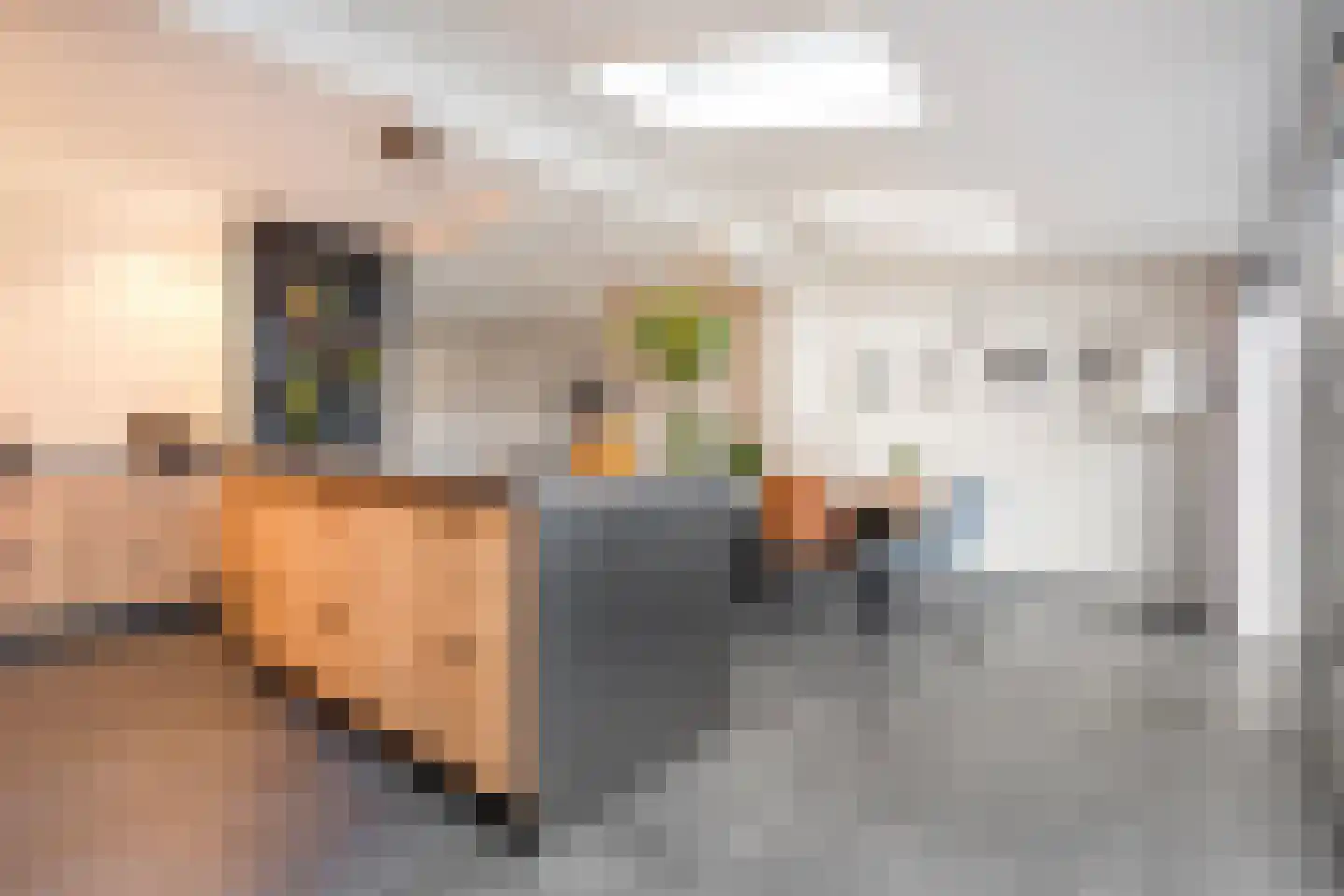 Heideanjer 47 Dalfsen thumbnail 15