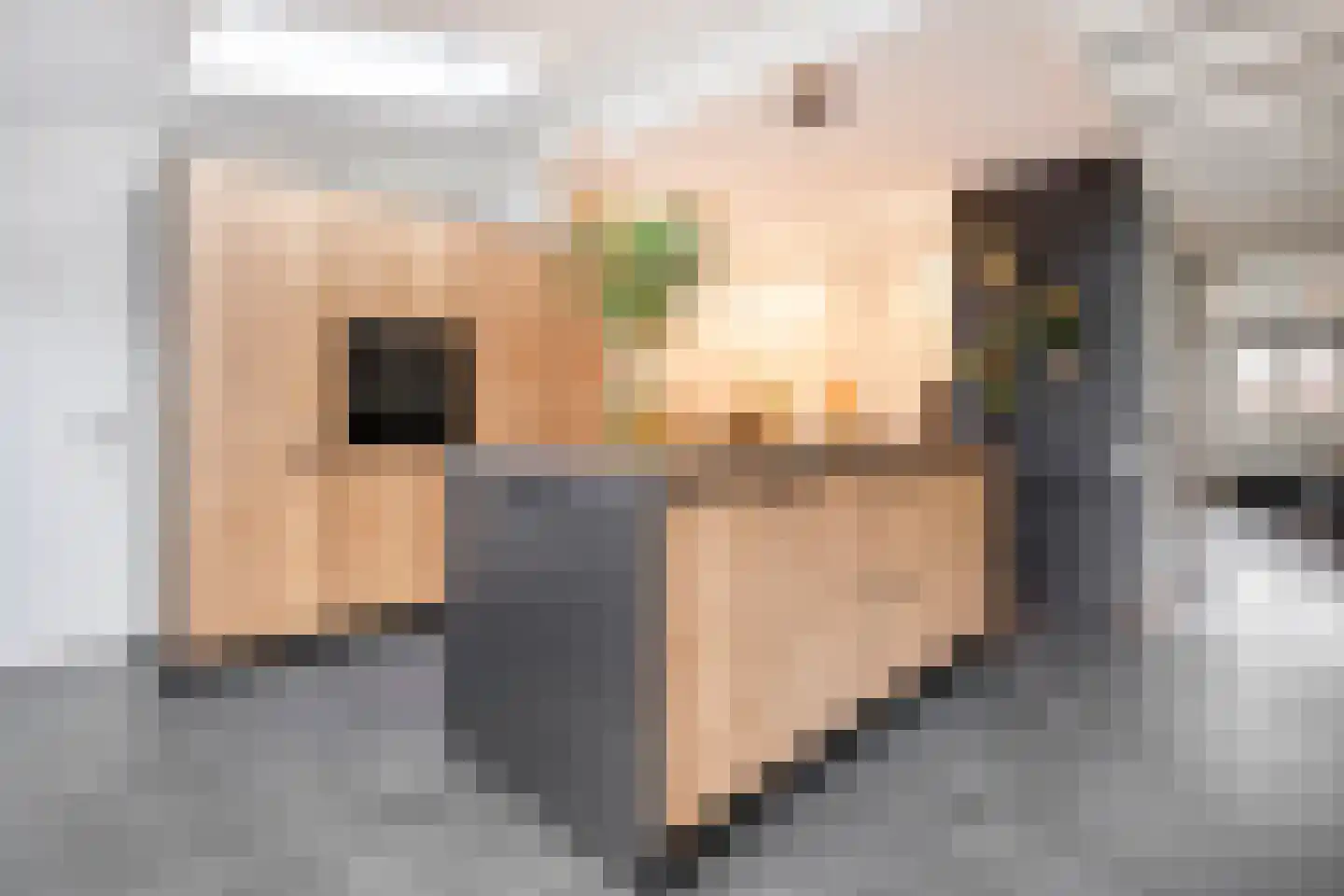 Heideanjer 47 Dalfsen thumbnail 16