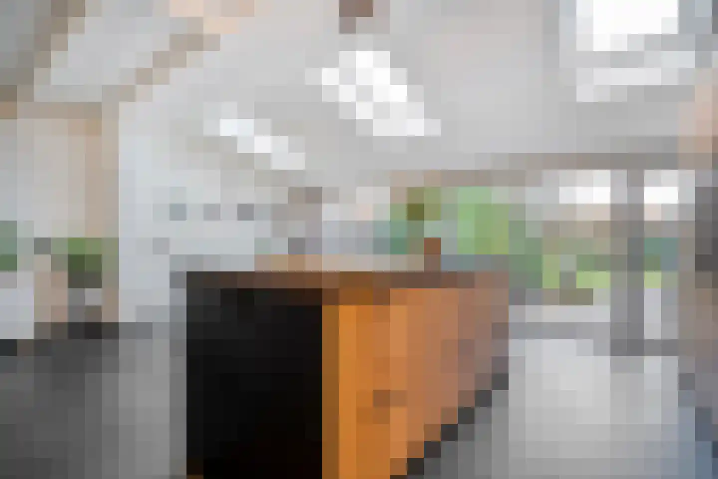 Heideanjer 47 Dalfsen thumbnail 17