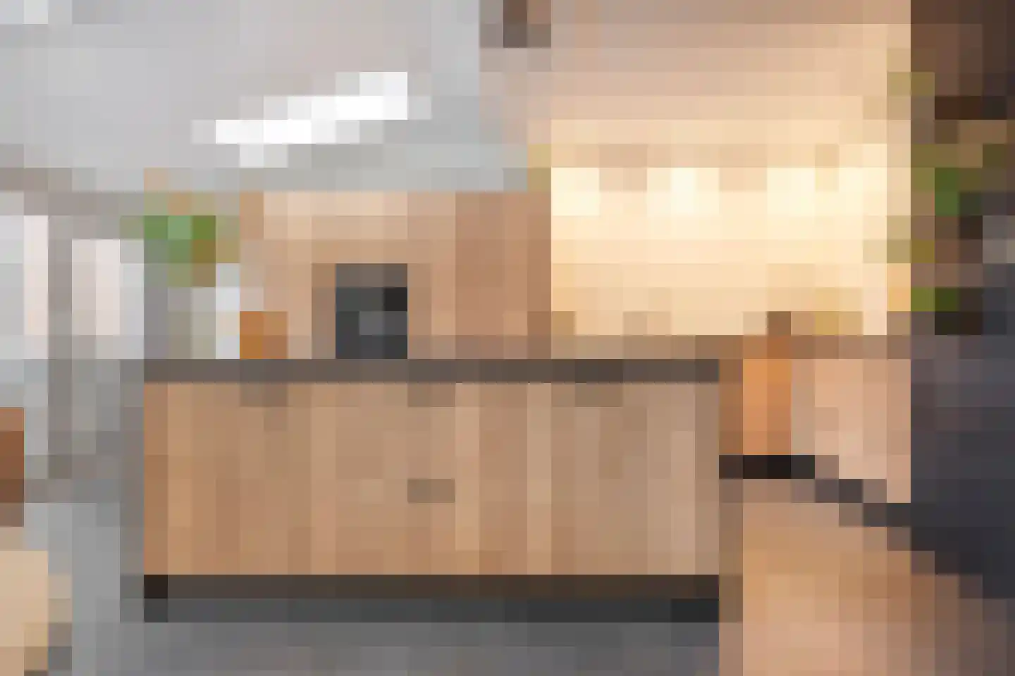 Heideanjer 47 Dalfsen thumbnail 18