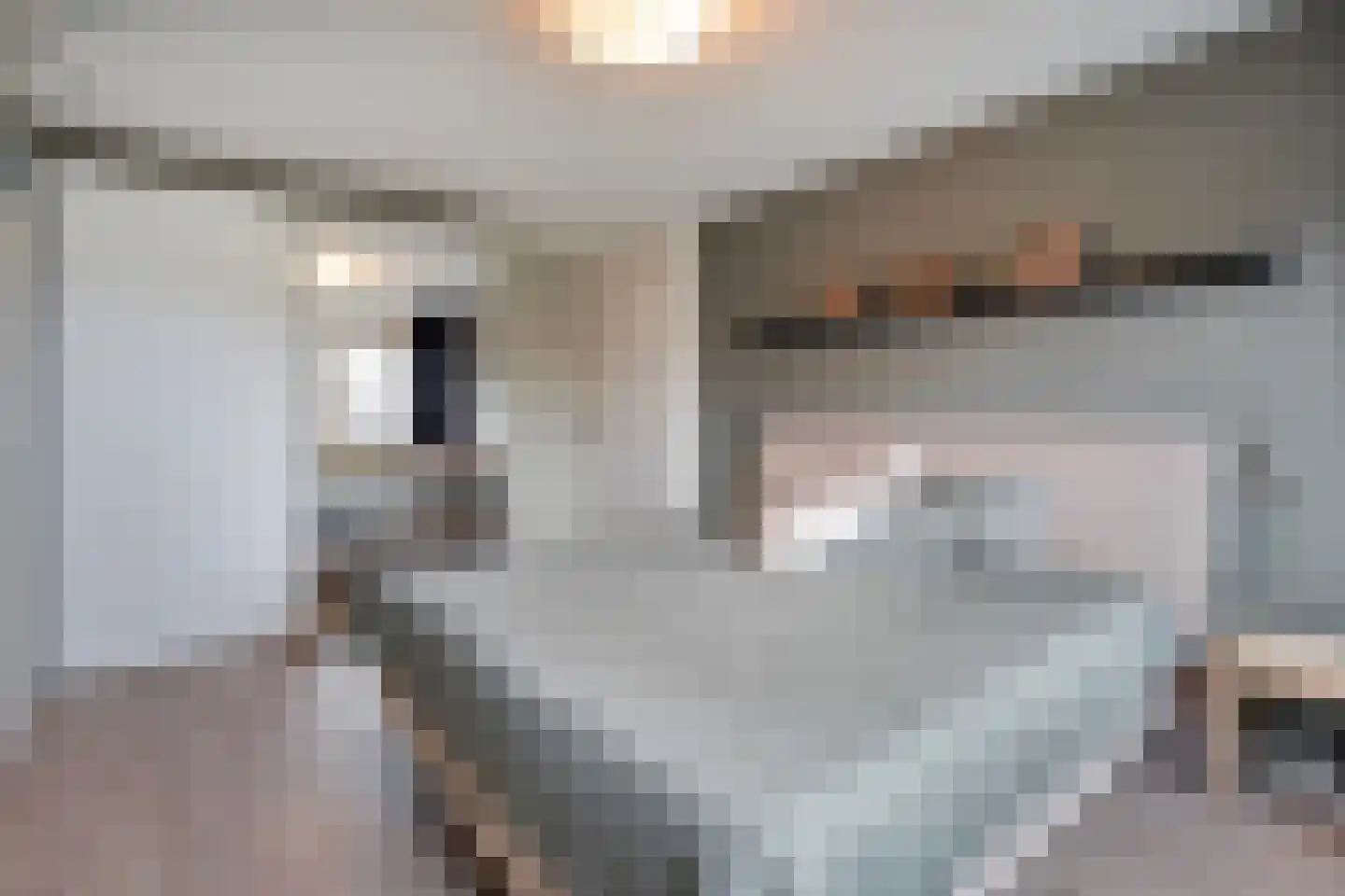 Heideanjer 47 Dalfsen thumbnail 28
