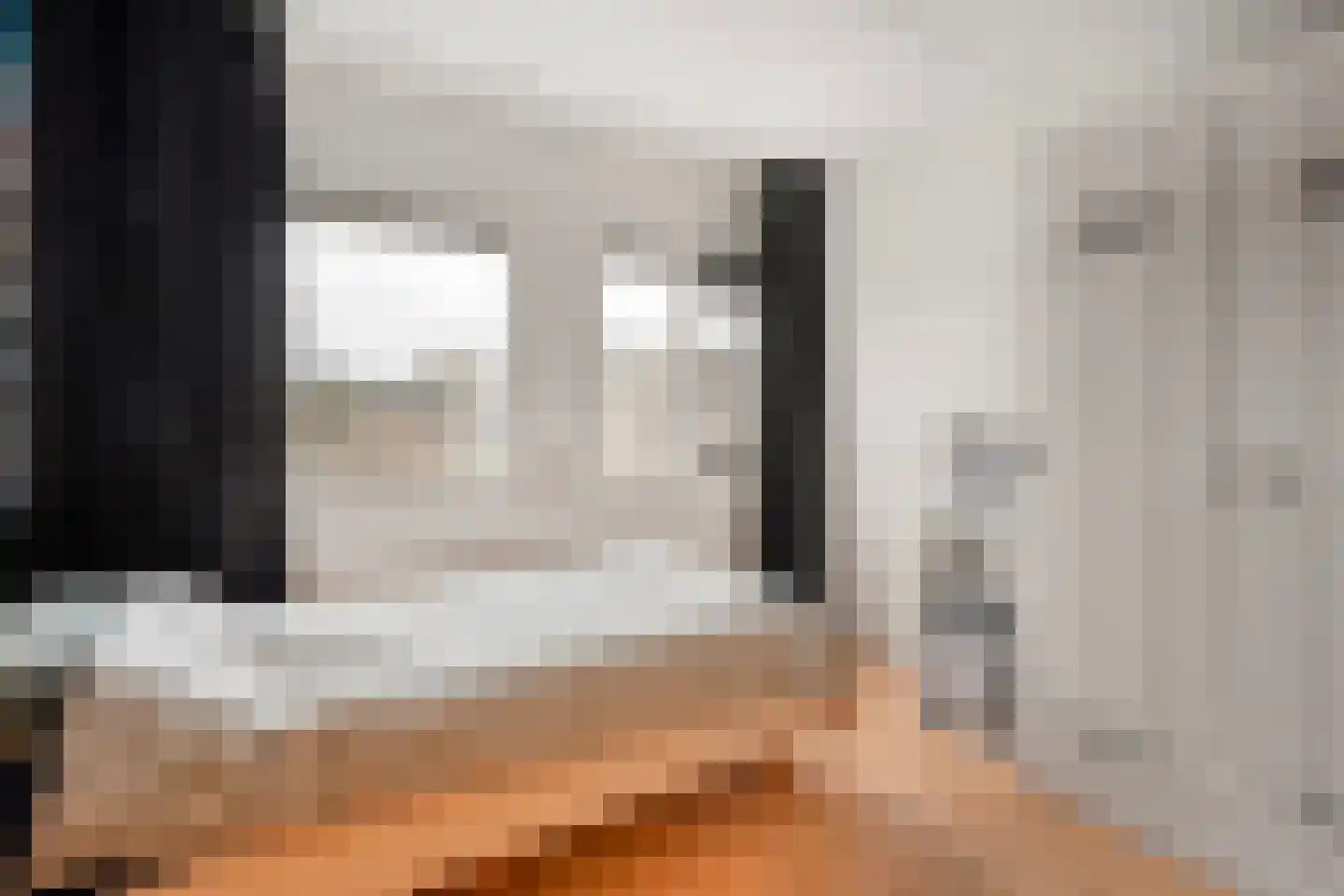 Heideanjer 47 Dalfsen thumbnail 30