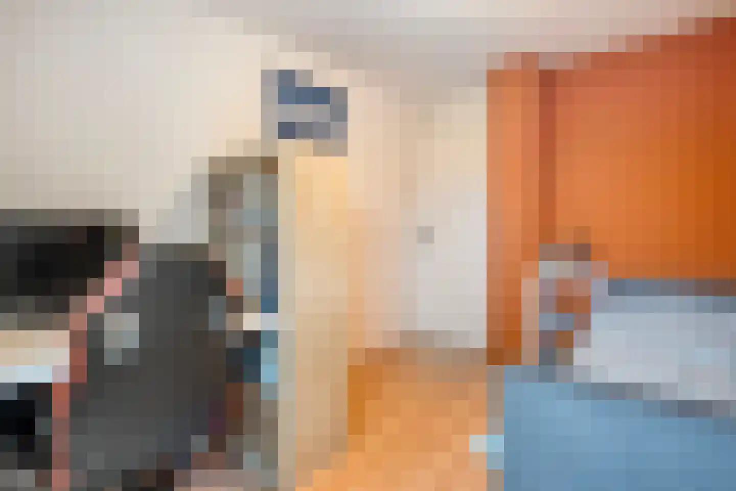 Heideanjer 47 Dalfsen thumbnail 31