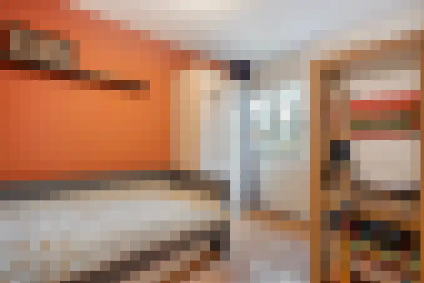 Heideanjer 47 Dalfsen thumbnail 32