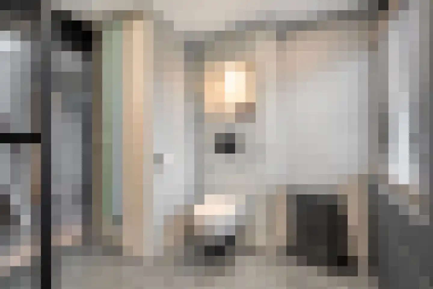 Heideanjer 47 Dalfsen thumbnail 33