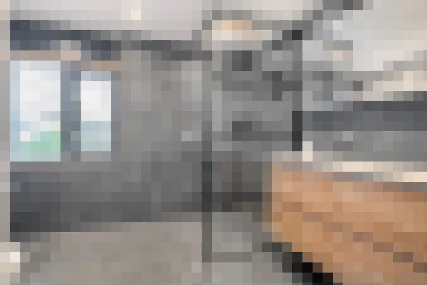 Heideanjer 47 Dalfsen thumbnail 34