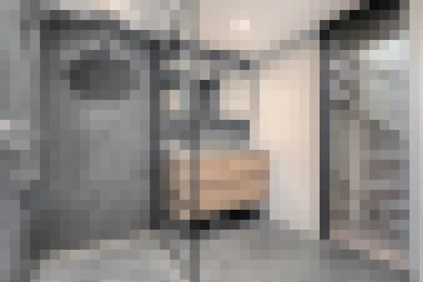 Heideanjer 47 Dalfsen thumbnail 35