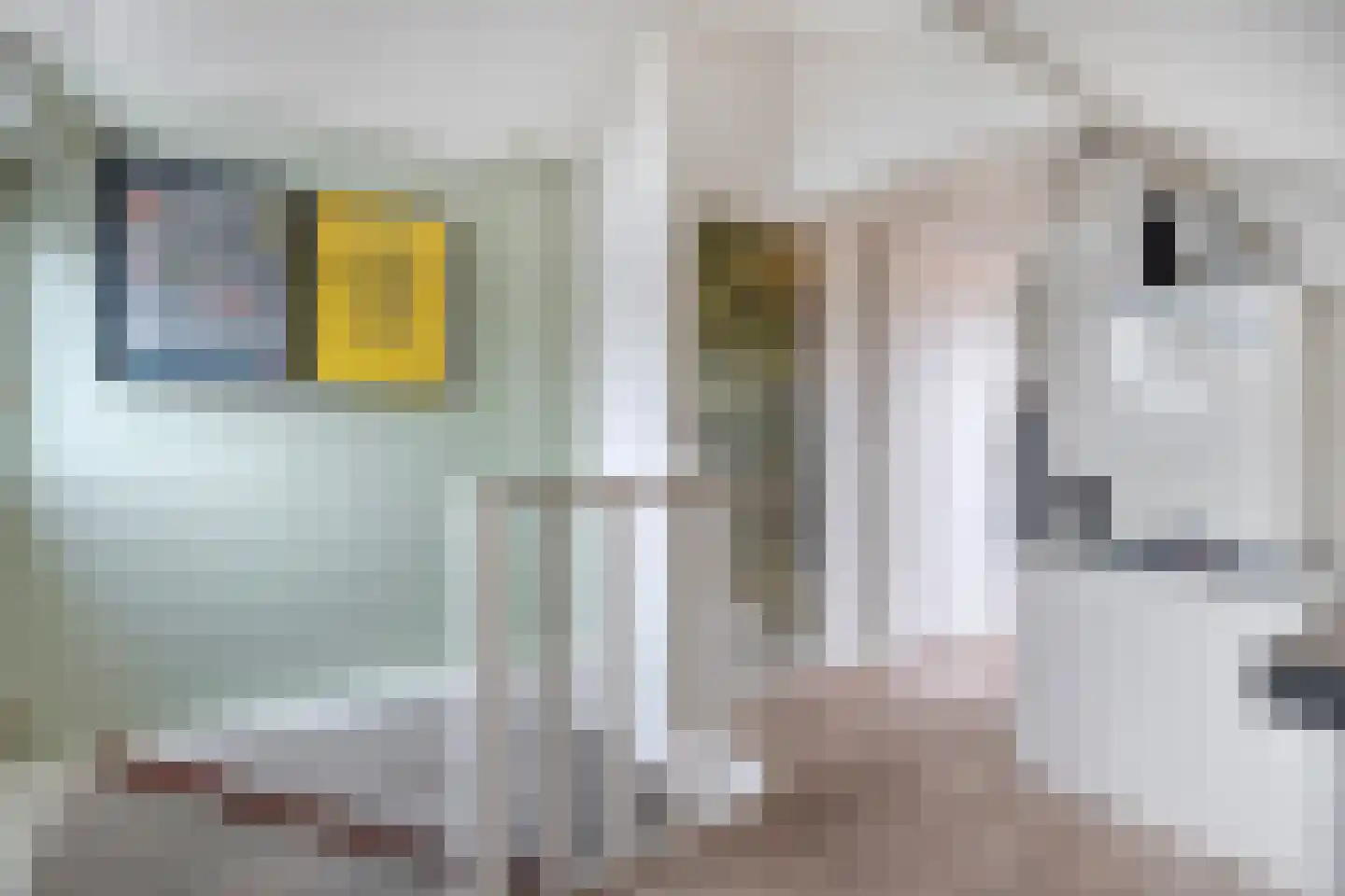 Heideanjer 47 Dalfsen thumbnail 36