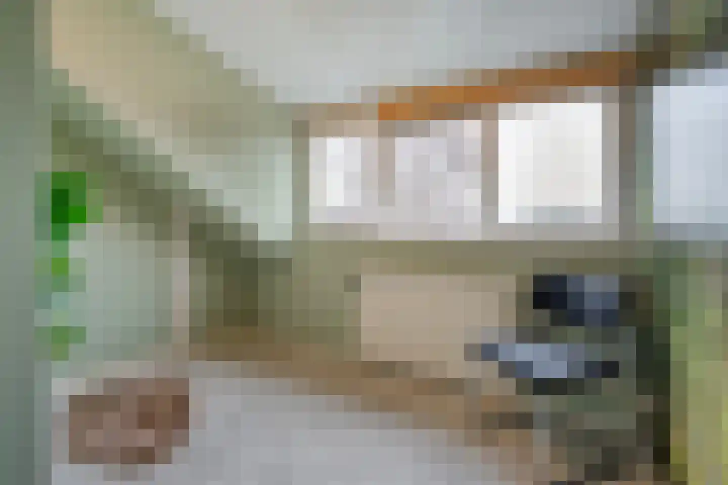 Heideanjer 47 Dalfsen thumbnail 38