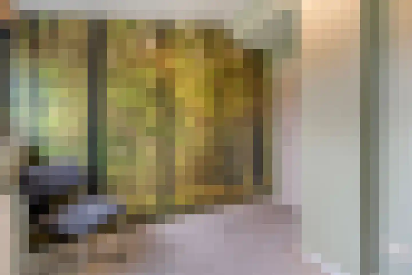 Heideanjer 47 Dalfsen thumbnail 39