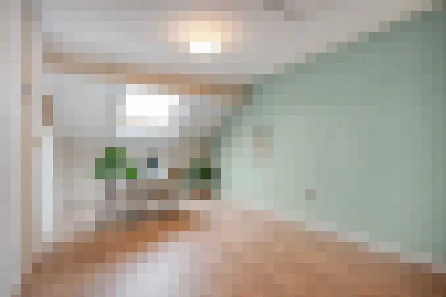Heideanjer 47 Dalfsen thumbnail 40