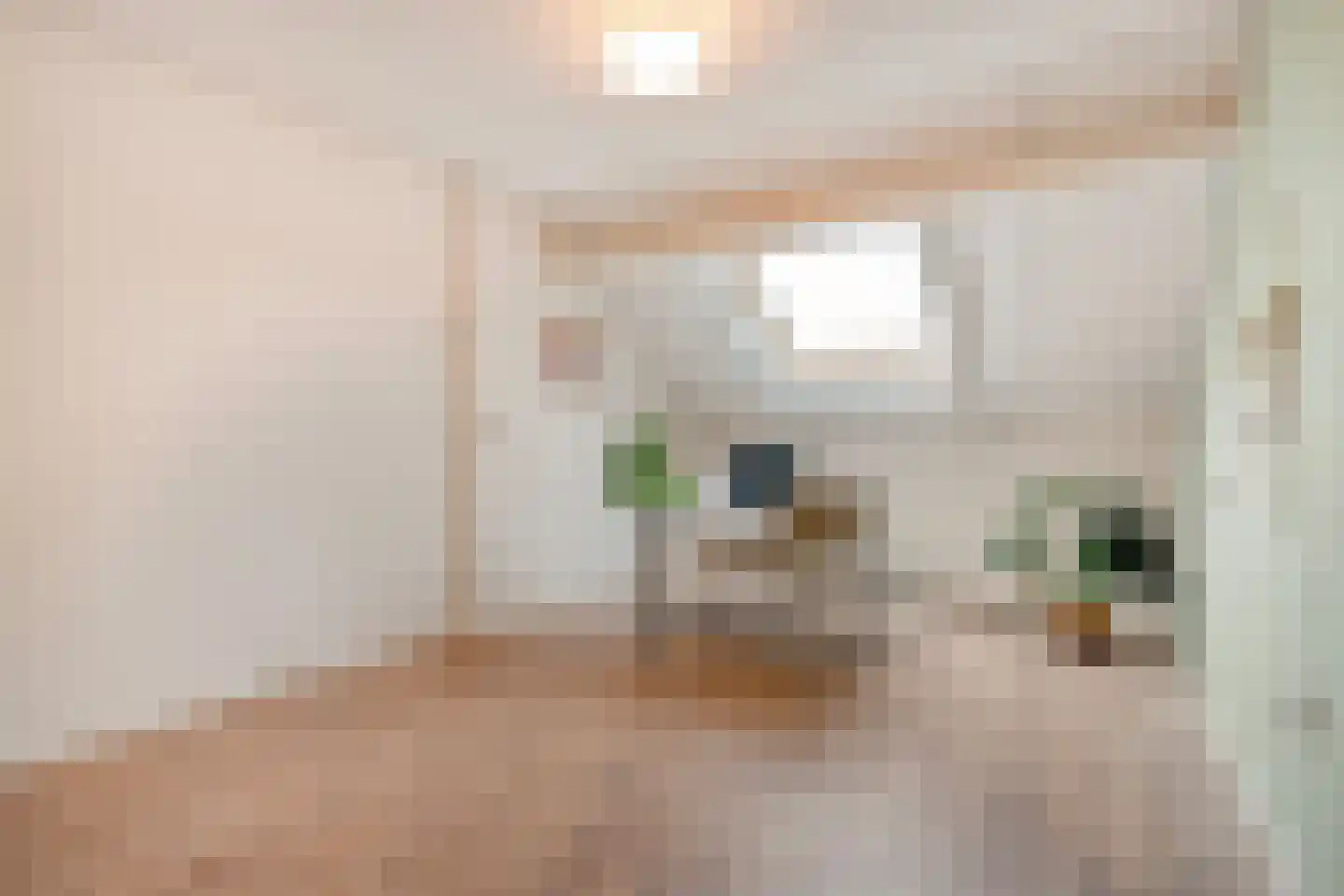 Heideanjer 47 Dalfsen thumbnail 41