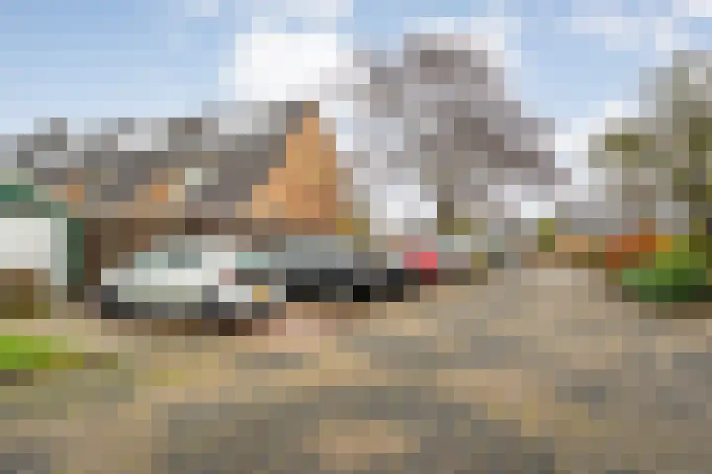 Heideanjer 47 Dalfsen thumbnail 45