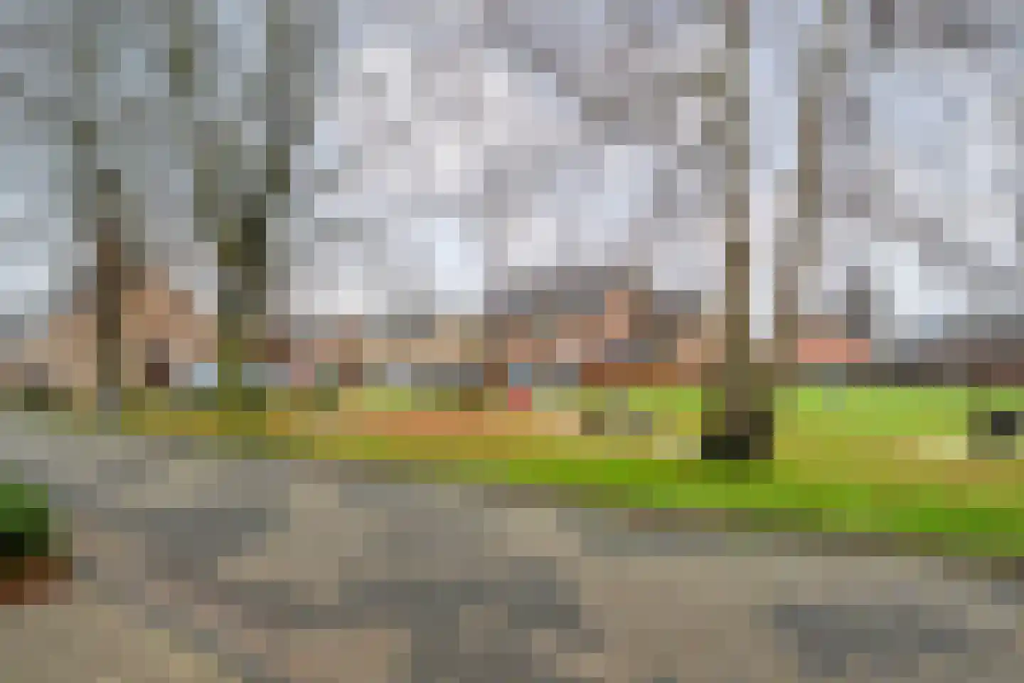 Heideanjer 47 Dalfsen thumbnail 46