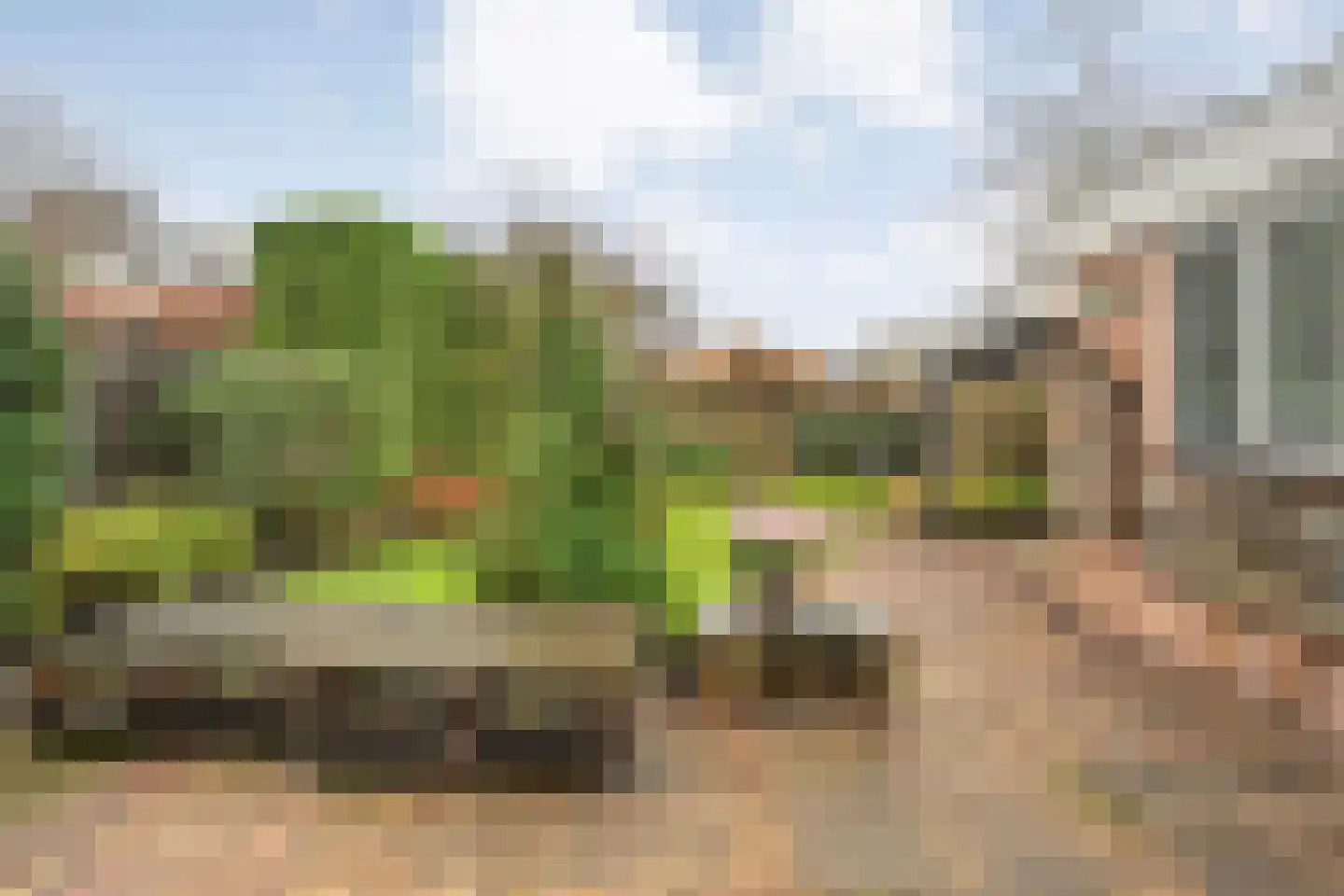 Heideanjer 47 Dalfsen thumbnail 47