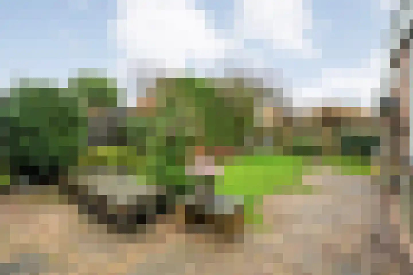 Heideanjer 47 Dalfsen thumbnail 48