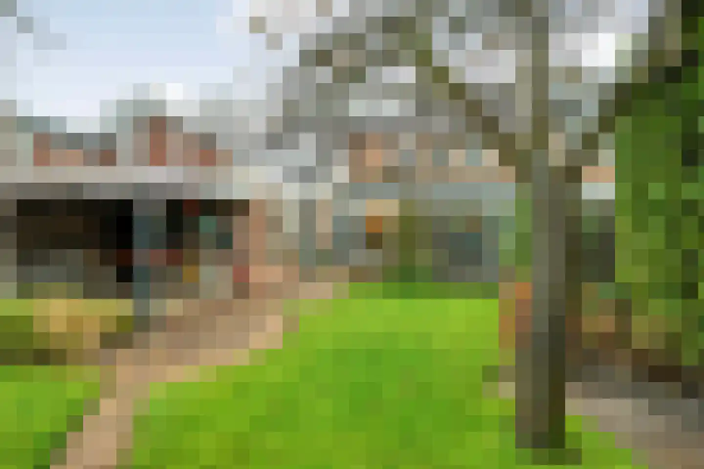 Heideanjer 47 Dalfsen thumbnail 50