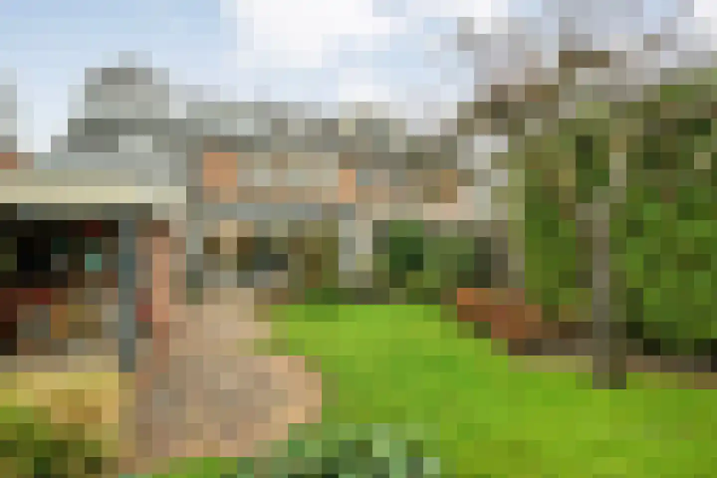 Heideanjer 47 Dalfsen thumbnail 51