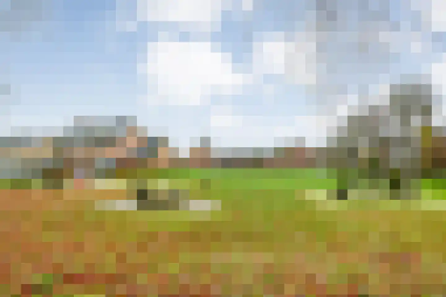 Heideanjer 47 Dalfsen thumbnail 55