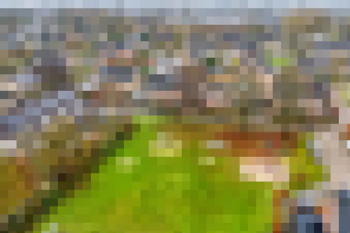 Heideanjer 47 Dalfsen thumbnail 56