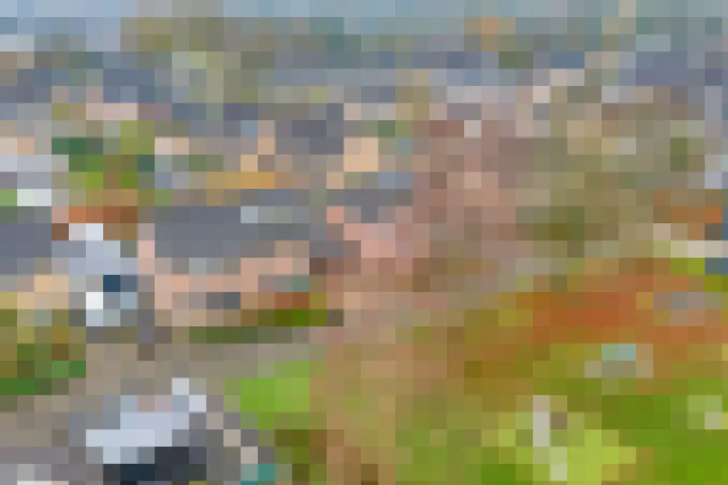 Heideanjer 47 Dalfsen thumbnail 57