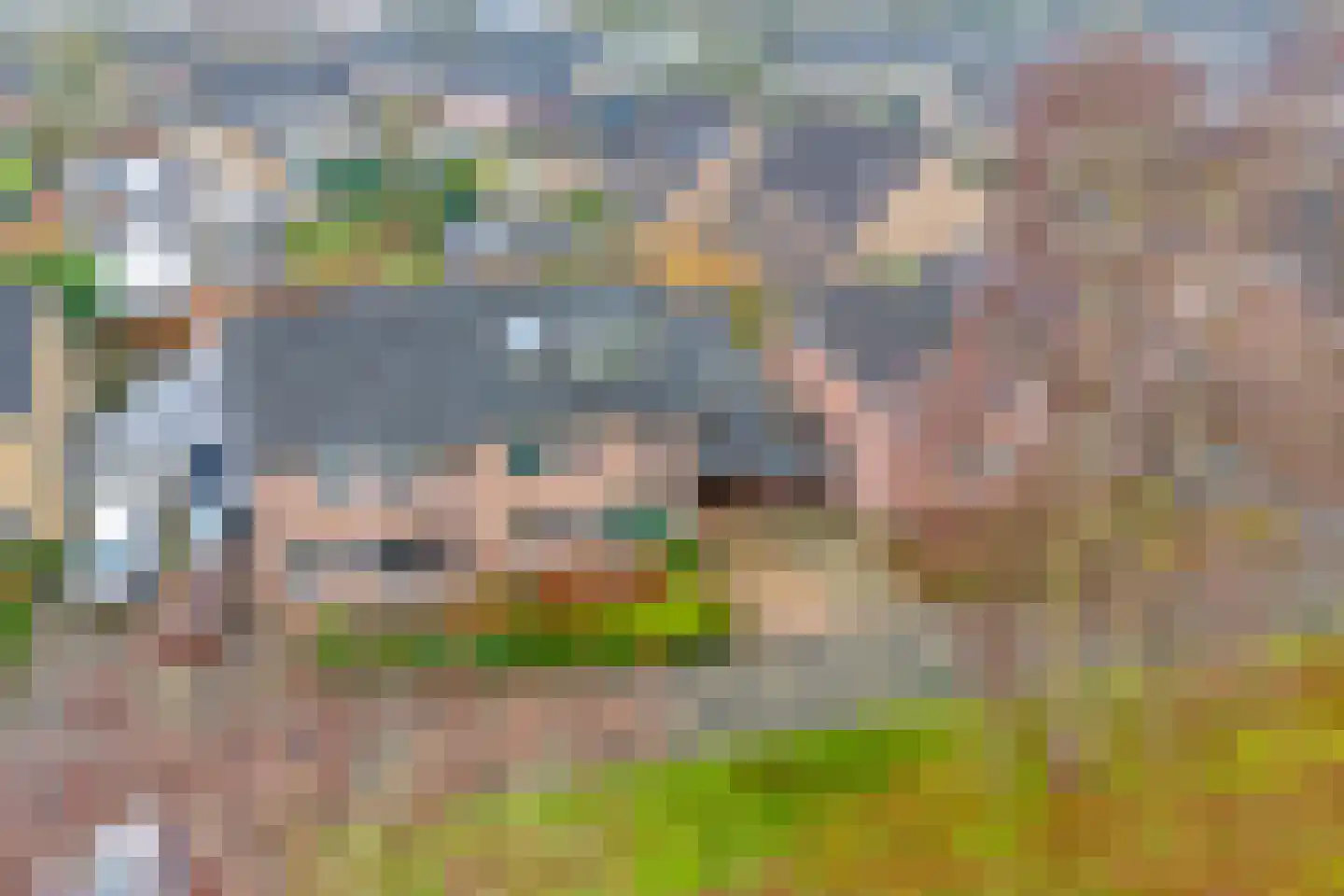 Heideanjer 47 Dalfsen thumbnail 58